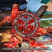 RECONSTRUCTION OF SCROTUM