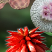 Podcast Series 8 - Static To Noise