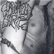 Bukkake Violence Kommando/Gorgonized Dorks