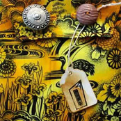 We Kept The Memories Locked Away Like The Beetles Of Our Childhood