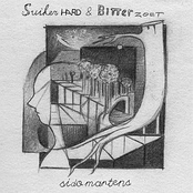 Zilver De Vis by Sido Martens