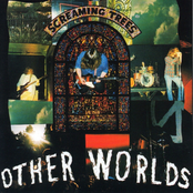 Other Worlds by Screaming Trees