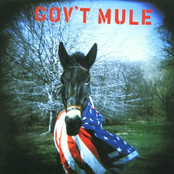 Rocking Horse by Gov't Mule