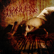 Mauled – From Life...To Lifeless