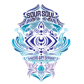 Mp3 Liquid Sky Divers