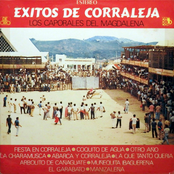 Exitos de Corraleja