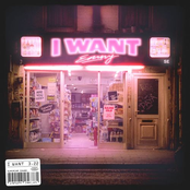 I Want - Single