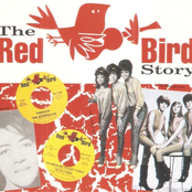 The Red Bird Story