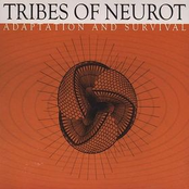 Adaptation & Survival: The Insect Project