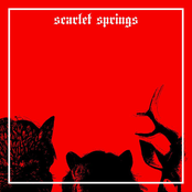 Scarlet Springs