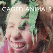 In The Land Of Giants by Caged Animals