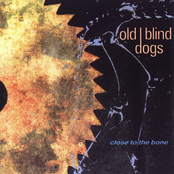 Old Blind Dogs: Close To The Bone