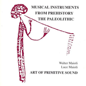 Musical Instruments From Prehistory