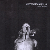 Schmerztherapie '93
