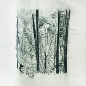 Ghost Or White Pavilion