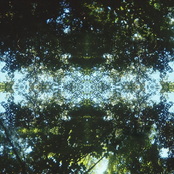 No Shame in Letting Go