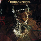 Plena Organization by Positive Catastrophe