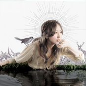 Follow the Nightingale