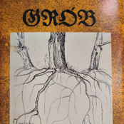 Calliphora Vomitoria