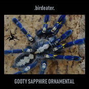 Gooty Sapphire Ornamental