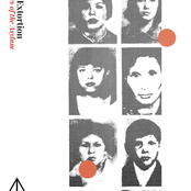 Arteries Of The Asylum