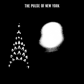 The Pulse Of New York