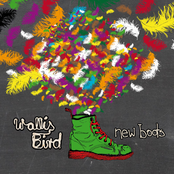 Wallis Bird: New Boots