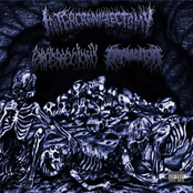 Hate, Rape, Mutilate