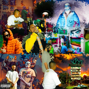 Psychedelic Smoothiez