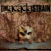 Whoa! Shut It Down by The Acacia Strain