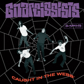 Gnarcissists: Caught In The Webb