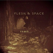 Cleanliness Similar To Tears by Flesh & Space