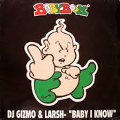 dj gizmo & larsh