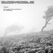 Through the Pattern of Infinity