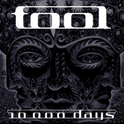 Jambi by Tool