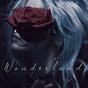 Wonderland