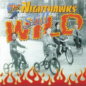 Read Way Back by The Nighthawks