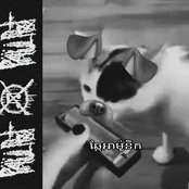 Päül Pöt - ឆ្កែអាម៉ូនិក (Gaita Cachorro)