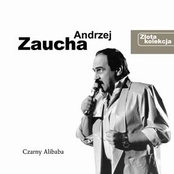 Julo Czyli Mus Męski Blues by Andrzej Zaucha