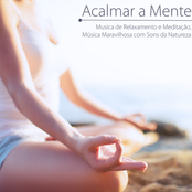 Acalmar a Mente - Musica de Relaxamento e Meditação, Música Maravilhosa com Sons da Natureza