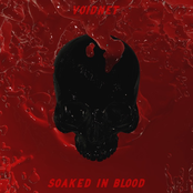 Soaked In Blood