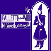 Mr.violet