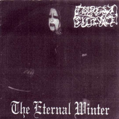 The Eternal Winter (Demo)