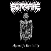Afterlife Brutality