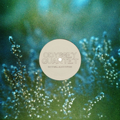 Days Will Always Pass - Single