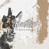 The Right to arm Bears