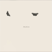 Shadows