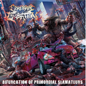 Cerebral Incubation: Ascariasis Evisceration