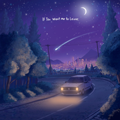 If You Want Me To Leave