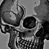 Putrescentibus//Turn